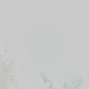 Meet your Posher, Tiana